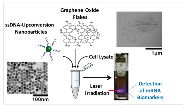 Graphene oxide-upconversion nanoparticle optical sensors